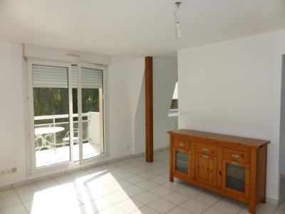 Vente Appartement 2 pices HAGUENAU 67500