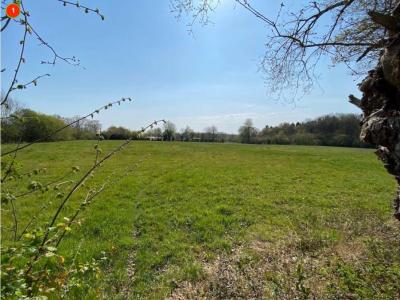 Vente Terrain GRANGUES 14160