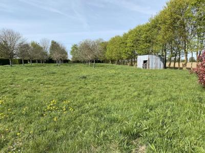 Vente Terrain BAYEUX 14400