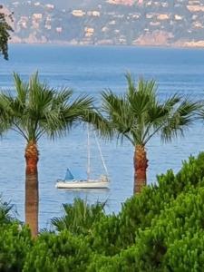 Vente Appartement 3 pices CANNES 06400