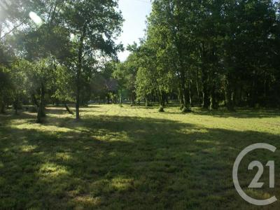 Vente Terrain SAINT-VIVIEN-DE-MEDOC 33590