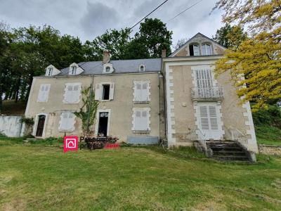 Vente Maison 20 pices ARGENTON-SUR-CREUSE 36200