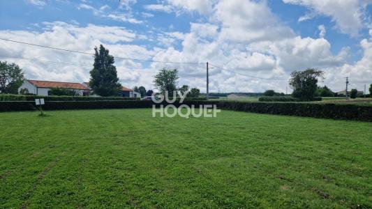 Vente Terrain DOEUIL-SUR-LE-MIGNON 17330