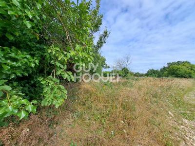 Vente Terrain SAINT-SATURNIN-DU-BOIS 17700