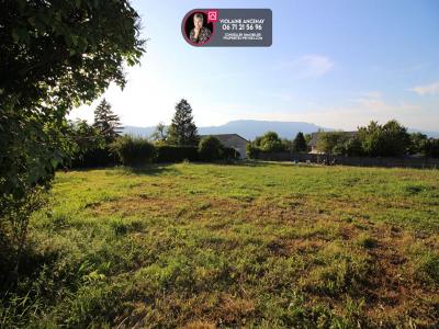 Vente Terrain MONTAGNOLE 73000