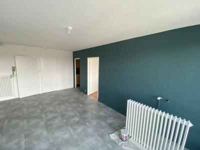 Location Appartement 3 pices FEURS 42110