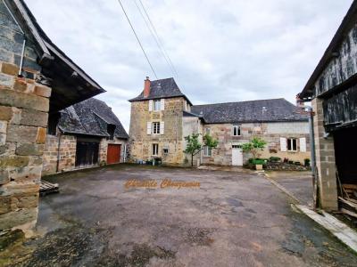 Vente Maison 11 pices BRIGNAC-LA-PLAINE 19310