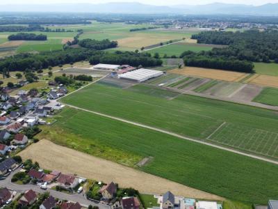 Vente Terrain BINDERNHEIM 67600