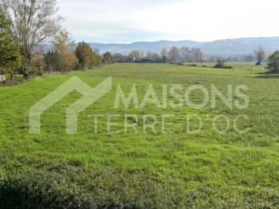 Vente Terrain REVEL 31250