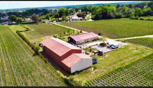 Vente Domaine agricole CISSAC-MEDOC 33250