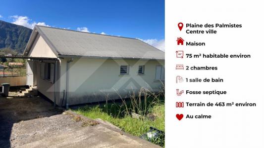 Vente Maison 3 pices PLAINE-DES-PALMISTES 97431