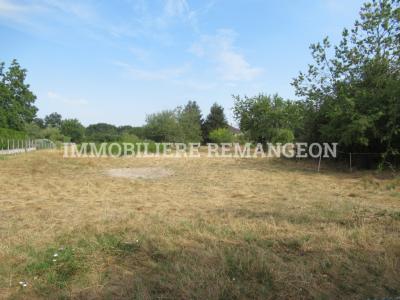 Vente Terrain FERTE-BEAUHARNAIS 41210