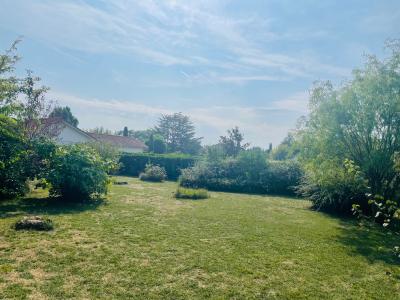 Vente Terrain SAINT-ROMAIN-DE-JALIONAS 38460