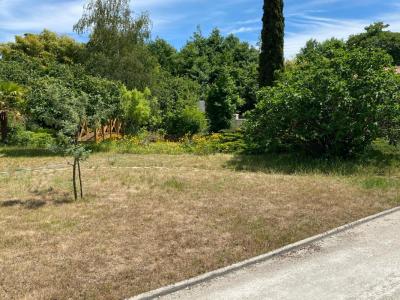 Vente Terrain SAINT-GERMAIN-DU-PUCH 33750