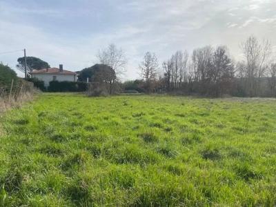 Vente Terrain MONTAUBAN 82000