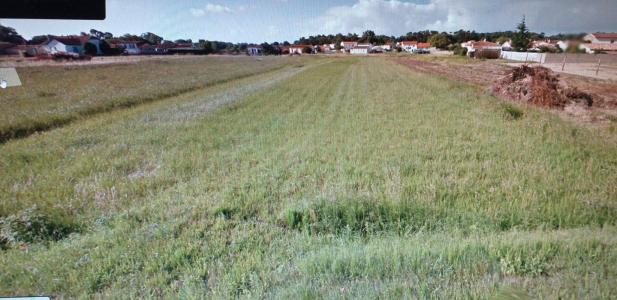 Vente Terrain LONGEVILLE-SUR-MER 85560