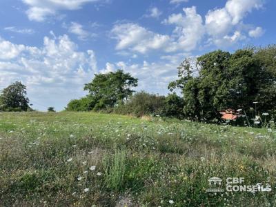 Vente Terrain SAINT-SERNIN-DU-BOIS 71200