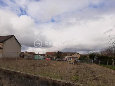 Vente Terrain LONGUEVILLE 77650