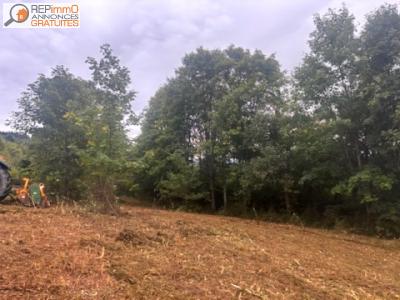 Vente Terrain JOB 63990