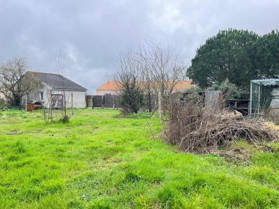 Vente Terrain SAINT-GERMAIN-SUR-MOINE 49230