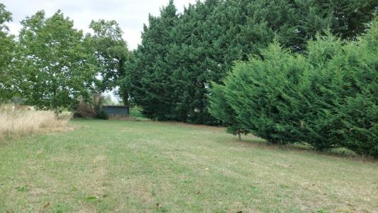 Vente Terrain AVRILLE-LES-PONCEAUX 37340