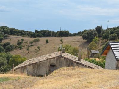 Vente Domaine agricole SAINT-LAURENT-DU-PAPE 07800