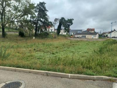 Vente Terrain COURCELLES-LES-MONTBELIARD 25420