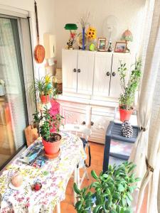 Vente Appartement 2 pices PORT-SAINT-LOUIS-DU-RHONE 13230