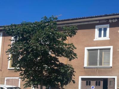 Vente Maison BIOL 38690