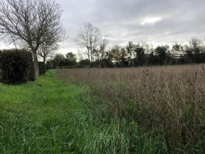 Vente Terrain SAINT-NAZAIRE-SUR-CHARENTE 17780