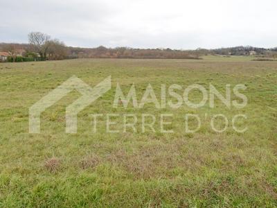 Vente Terrain PLAISANCE-DU-TOUCH 31830