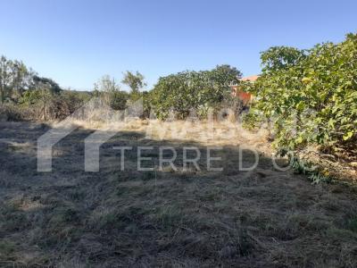 Vente Terrain POMPERTUZAT 31450