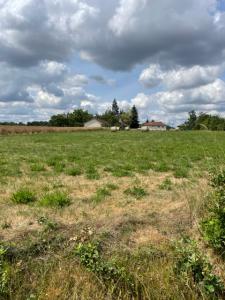 Vente Terrain BEAULIEU-SUR-LOIRE 45630