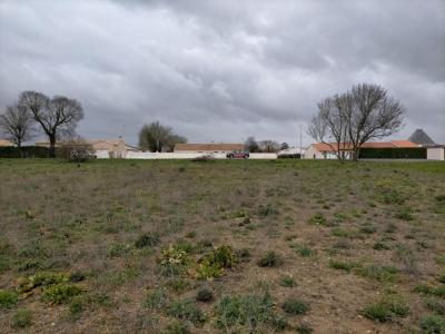 Vente Terrain SAINT-NAZAIRE-SUR-CHARENTE 17780