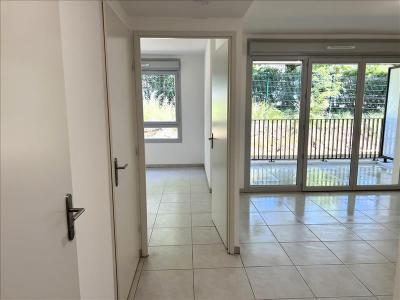 Location Appartement 2 pices COGOLIN 83310