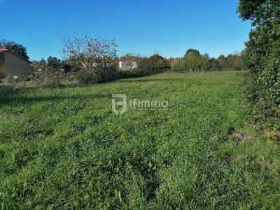 Vente Terrain RABASTENS-DE-BIGORRE 65140