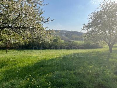 Vente Terrain SAINT-CLAIR-SUR-GALAURE 38940