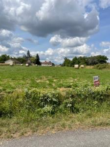 Vente Terrain BEAULIEU-SUR-LOIRE 45630