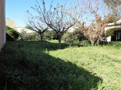 Vente Terrain FRONTIGNAN 34110