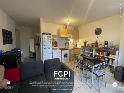 Vente Appartement 3 pices NAILLOUX 31560