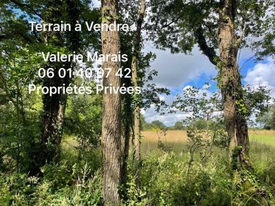 Vente Terrain SAINT-LYPHARD 44410