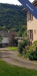 Vente Immeuble LAUTENBACH 68610