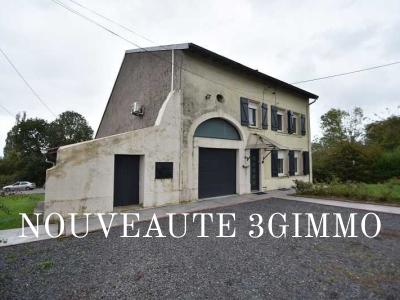 Vente Immeuble AVRICOURT 54450