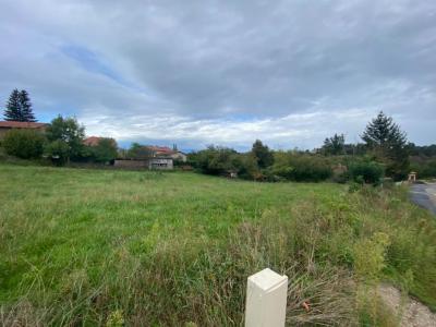 Vente Terrain MONISTROL-SUR-LOIRE 43120