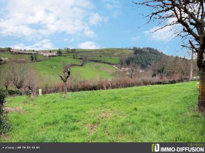 Vente Terrain SAINT-GALMIER 42330