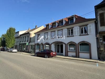 Vente Local commercial HOCHFELDEN 67270