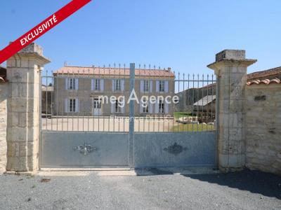 Vente Maison 6 pices SAINT-JEAN-D'ANGELY 17400