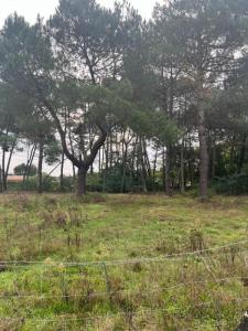 Vente Terrain SAINT-AUBIN-DE-MEDOC 33160