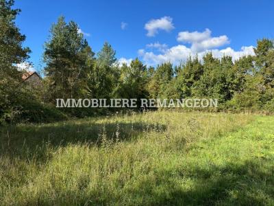 Vente Terrain VIERZON 18100