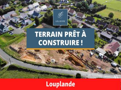 Vente Terrain LOUPLANDE 72210